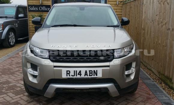 Buy Used Land Rover Range Rover Evoque Brown Car in Fainu in Raa Buy Used Land Rover Range Rover Evoque Brown Car in Fainu in Raa