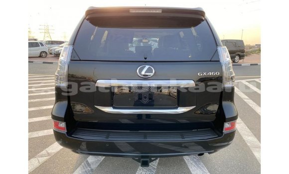 Buy Import Lexus GX Black Car in Import - Dubai in Baa Buy Import Lexus GX Black Car in Import - Dubai in Baa