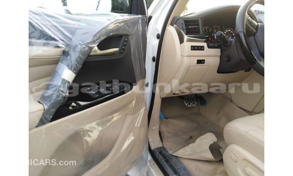 Buy Import Lexus LX White Car in Import - Dubai in Baa Buy Import Lexus LX White Car in Import - Dubai in Baa