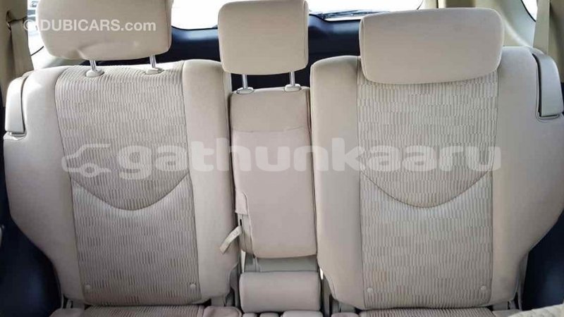 Big with watermark 21e029c4 0c02 4440 88f2 6cce8bce6e60