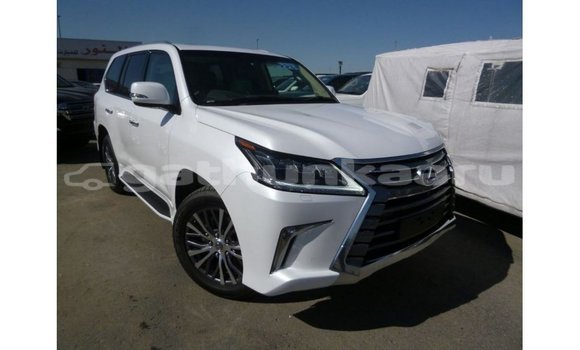 Buy Import Lexus LX White Car in Import - Dubai in Baa Buy Import Lexus LX White Car in Import - Dubai in Baa