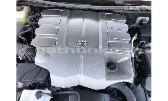 Buy Import Toyota Land Cruiser White Car in Import - Dubai in Baa Buy Import Toyota Land Cruiser White Car in Import - Dubai in Baa