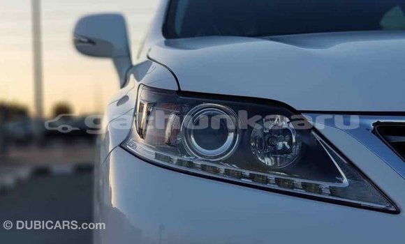 Buy Import Lexus RX 350 White Car in Import - Dubai in Baa Buy Import Lexus RX 350 White Car in Import - Dubai in Baa