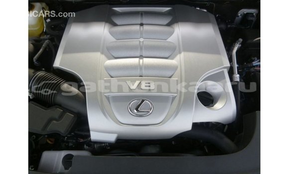 Buy Import Lexus LX Other Car in Import - Dubai in Baa Buy Import Lexus LX Other Car in Import - Dubai in Baa