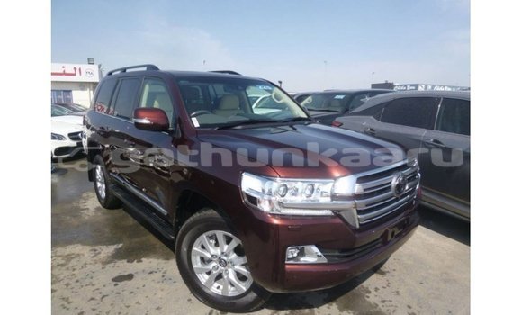 Buy Import Toyota Land Cruiser Brown Car in Import - Dubai in Baa Buy Import Toyota Land Cruiser Brown Car in Import - Dubai in Baa