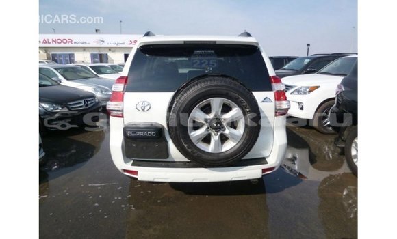 Buy Import Toyota Prado White Car in Import - Dubai in Baa Buy Import Toyota Prado White Car in Import - Dubai in Baa