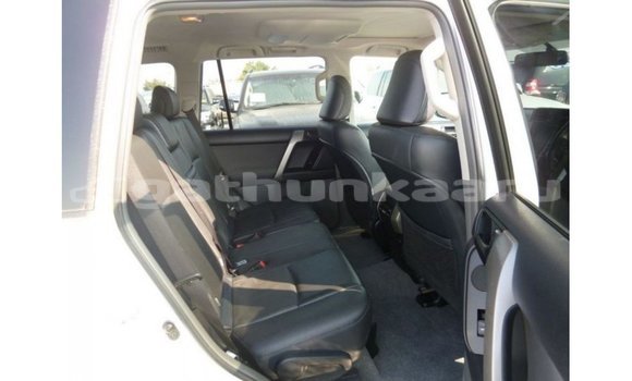 Buy Import Toyota Prado White Car in Import - Dubai in Baa Buy Import Toyota Prado White Car in Import - Dubai in Baa