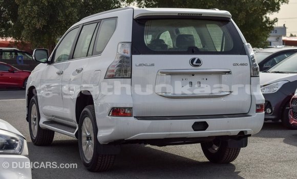 Buy Import Lexus GX White Car in Import - Dubai in Baa Buy Import Lexus GX White Car in Import - Dubai in Baa