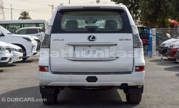 Buy Import Lexus GX White Car in Import - Dubai in Baa Buy Import Lexus GX White Car in Import - Dubai in Baa