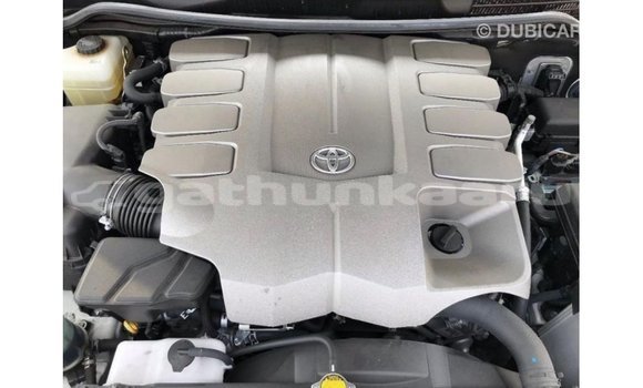 Buy Import Toyota Land Cruiser White Car in Import - Dubai in Baa Buy Import Toyota Land Cruiser White Car in Import - Dubai in Baa