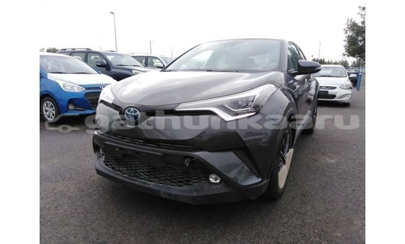 Buy Import Toyota C-HR Other Car in Import - Dubai in Baa Buy Import Toyota C-HR Other Car in Import - Dubai in Baa