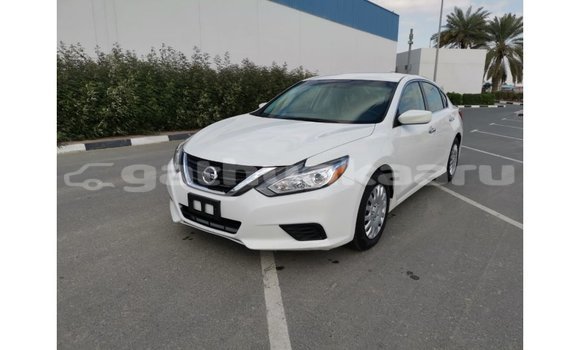 Buy Import Nissan Altima White Car in Import - Dubai in Baa Buy Import Nissan Altima White Car in Import - Dubai in Baa