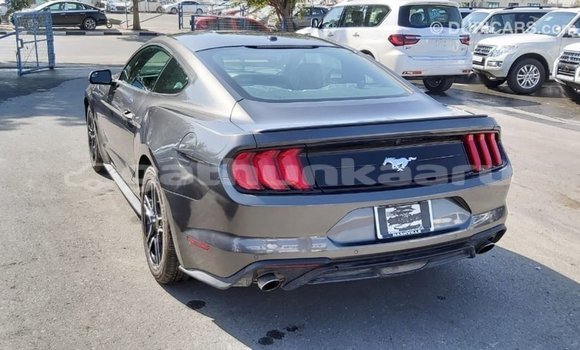 Buy Import Ford Mustang Other Car in Import - Dubai in Baa Buy Import Ford Mustang Other Car in Import - Dubai in Baa