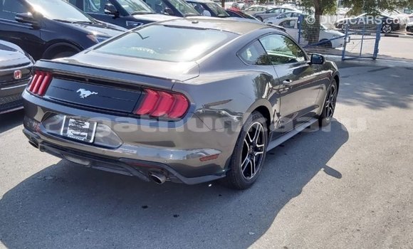 Buy Import Ford Mustang Other Car in Import - Dubai in Baa Buy Import Ford Mustang Other Car in Import - Dubai in Baa