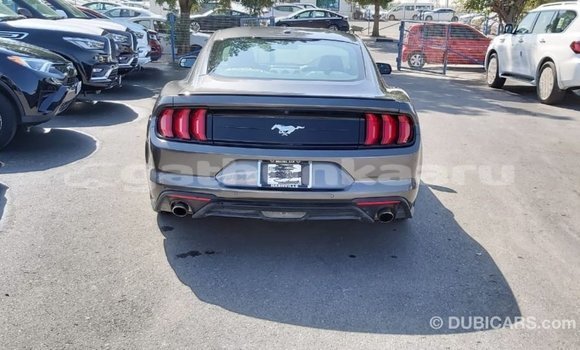 Buy Import Ford Mustang Other Car in Import - Dubai in Baa Buy Import Ford Mustang Other Car in Import - Dubai in Baa