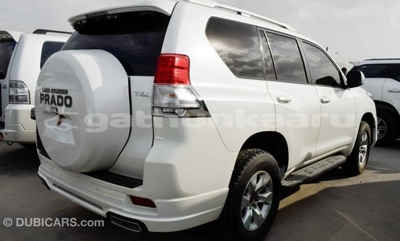 Buy Import Toyota Prado White Car in Import - Dubai in Baa Buy Import Toyota Prado White Car in Import - Dubai in Baa