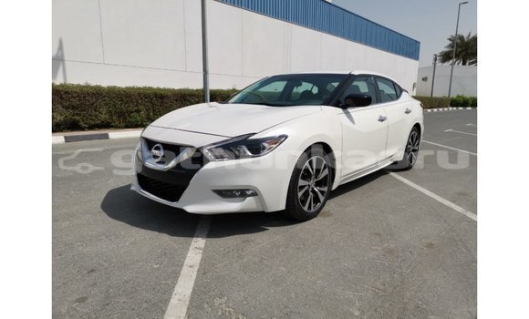 Buy Import Nissan Maxima White Car in Import - Dubai in Baa Buy Import Nissan Maxima White Car in Import - Dubai in Baa
