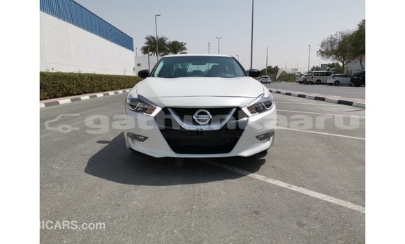 Buy Import Nissan Maxima White Car in Import - Dubai in Baa Buy Import Nissan Maxima White Car in Import - Dubai in Baa