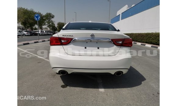 Buy Import Nissan Maxima White Car in Import - Dubai in Baa Buy Import Nissan Maxima White Car in Import - Dubai in Baa