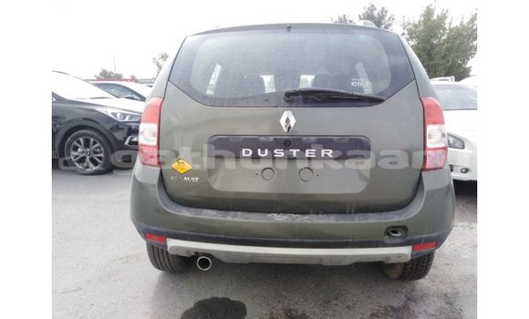 Buy Import Renault Duster Green Car in Import - Dubai in Baa