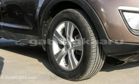 Buy Import Kia Sportage Brown Car in Import - Dubai in Baa