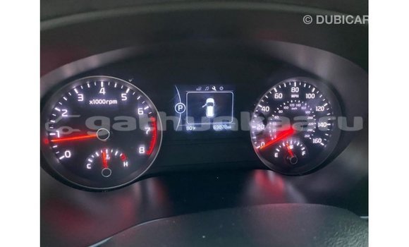 Buy Import Kia Sportage White Car in Import - Dubai in Baa Buy Import Kia Sportage White Car in Import - Dubai in Baa