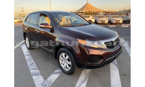 Buy Import Kia Sorento Brown Car in Import - Dubai in Baa Buy Import Kia Sorento Brown Car in Import - Dubai in Baa