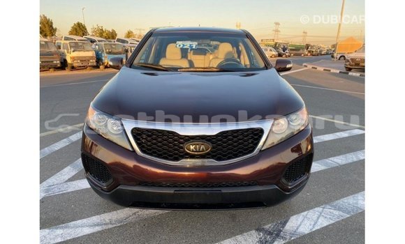 Buy Import Kia Sorento Brown Car in Import - Dubai in Baa Buy Import Kia Sorento Brown Car in Import - Dubai in Baa