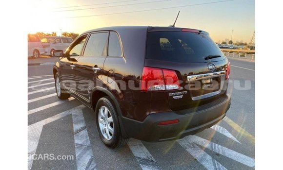 Buy Import Kia Sorento Brown Car in Import - Dubai in Baa Buy Import Kia Sorento Brown Car in Import - Dubai in Baa
