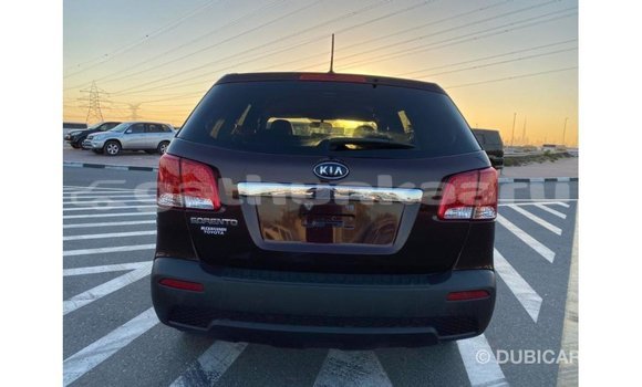 Buy Import Kia Sorento Brown Car in Import - Dubai in Baa Buy Import Kia Sorento Brown Car in Import - Dubai in Baa