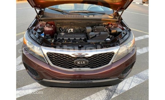 Buy Import Kia Sorento Brown Car in Import - Dubai in Baa Buy Import Kia Sorento Brown Car in Import - Dubai in Baa