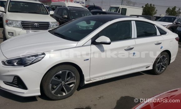 Buy Import Hyundai Sonata White Car in Import - Dubai in Baa Buy Import Hyundai Sonata White Car in Import - Dubai in Baa