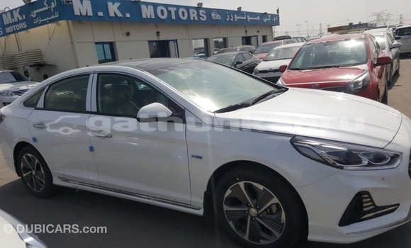 Buy Import Hyundai Sonata White Car in Import - Dubai in Baa Buy Import Hyundai Sonata White Car in Import - Dubai in Baa