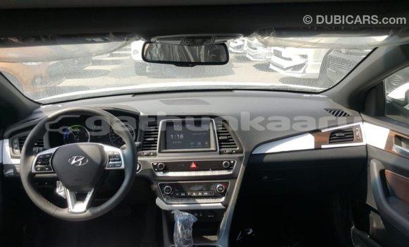 Buy Import Hyundai Sonata White Car in Import - Dubai in Baa Buy Import Hyundai Sonata White Car in Import - Dubai in Baa