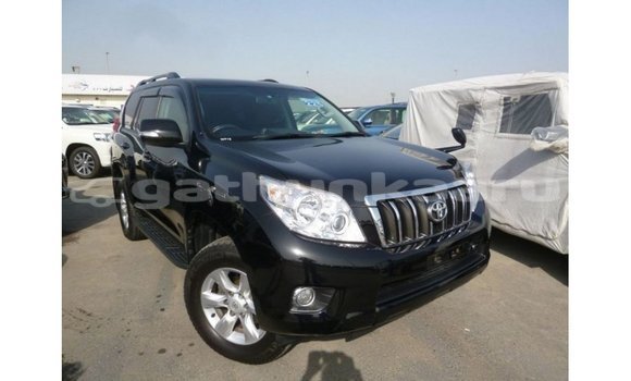 Buy Import Toyota Prado Black Car in Import - Dubai in Baa Buy Import Toyota Prado Black Car in Import - Dubai in Baa