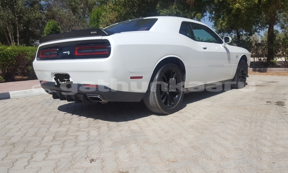 Buy Used Dodge Challenger White Car in Agolhitheemu in Raa