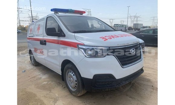 Buy Import Hyundai Chorus White Truck in Import - Dubai in Baa Buy Import Hyundai Chorus White Truck in Import - Dubai in Baa