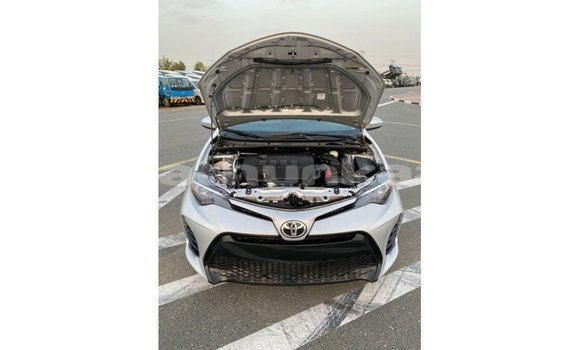 Buy Import Toyota Corolla Other Car in Import - Dubai in Baa Buy Import Toyota Corolla Other Car in Import - Dubai in Baa