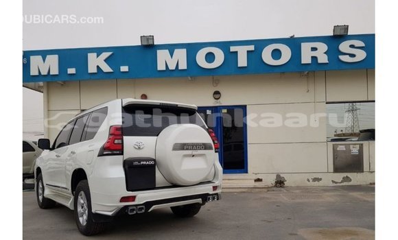 Buy Import Toyota Prado White Car in Import - Dubai in Baa Buy Import Toyota Prado White Car in Import - Dubai in Baa