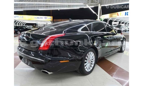 Buy Import Jaguar XJ Black Car in Import - Dubai in Baa Buy Import Jaguar XJ Black Car in Import - Dubai in Baa