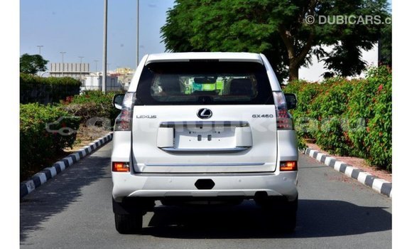 Buy Import Lexus GX White Car in Import - Dubai in Baa Buy Import Lexus GX White Car in Import - Dubai in Baa