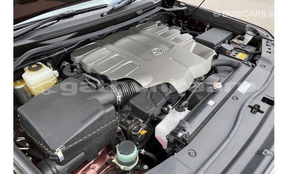 Buy Import Toyota Land Cruiser Red Car in Import - Dubai in Baa Buy Import Toyota Land Cruiser Red Car in Import - Dubai in Baa