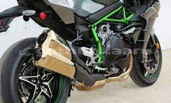 Buy New Kawasaki Ninja Blue Bike in Badidhoo in Dhaal Buy New Kawasaki Ninja Blue Bike in Badidhoo in Dhaal