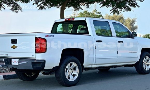 Buy Import Chevrolet Silverado White Car in Import - Dubai in Baa Buy Import Chevrolet Silverado White Car in Import - Dubai in Baa
