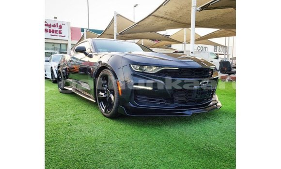 Buy Import Chevrolet Camaro Black Car in Import - Dubai in Baa