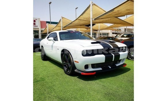 Buy Import Dodge Challenger White Car in Import - Dubai in Baa