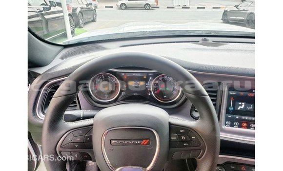 Buy Import Dodge Challenger White Car in Import - Dubai in Baa Buy Import Dodge Challenger White Car in Import - Dubai in Baa