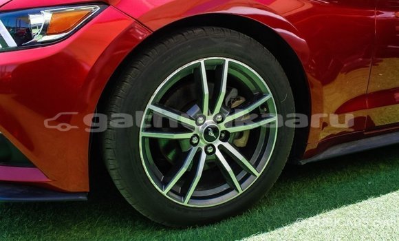 Buy Import Ford Mustang Red Car in Import - Dubai in Baa Buy Import Ford Mustang Red Car in Import - Dubai in Baa