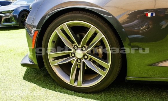 Buy Import Chevrolet Camaro Other Car in Import - Dubai in Baa Buy Import Chevrolet Camaro Other Car in Import - Dubai in Baa