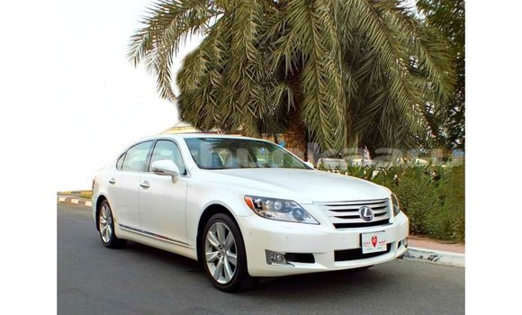 Buy Import Lexus LS White Car in Import - Dubai in Baa